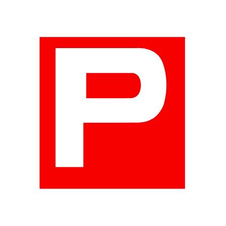 CACTUS PVC 'P' STICKER