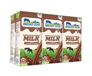 BRIGHT COW CHOCOLATE MILK 6X200ML