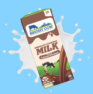 BRIGHT COW CHOCOLATE MILK 200ML