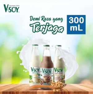 V-SOY SOYA BEAN MILK 300ML