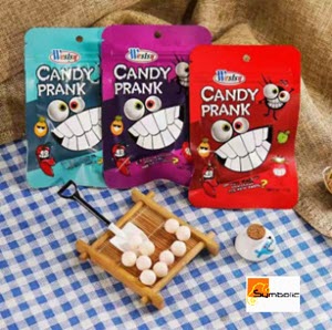[3101001-WSLY] WESLSY CANDY PRANK 13G